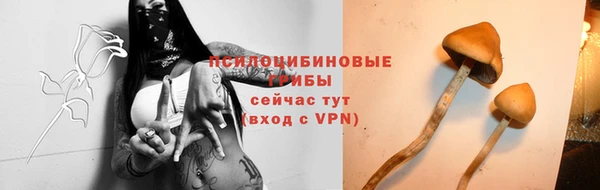 соль курить ск Абаза