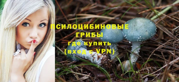 Альфа ПВП Сатка