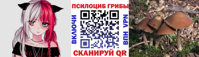 купить наркотики сайты  Верхоянск  mega вход  Галлюциногенные грибы мухоморы 